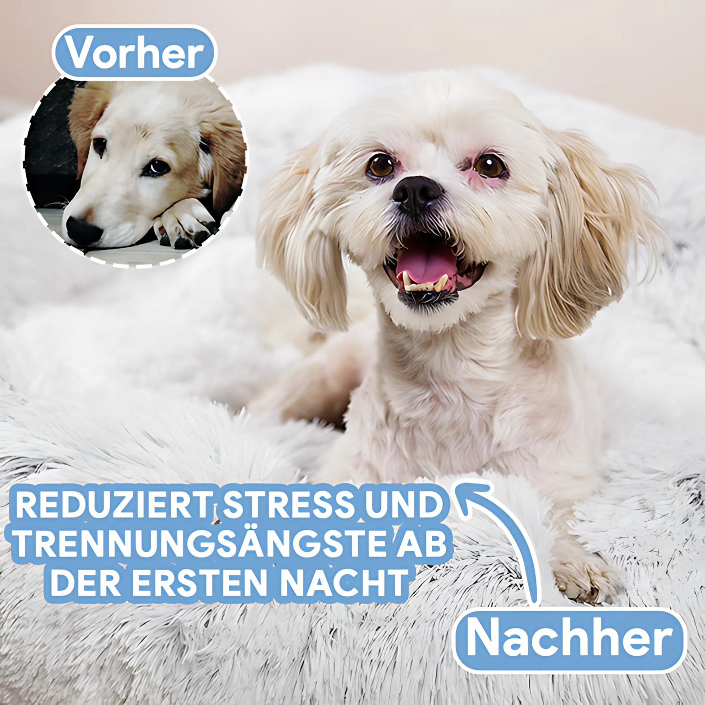 Nestly™ – Superzacht Huisdierbed voor Hond & Kat | Knus & Comfortabel
