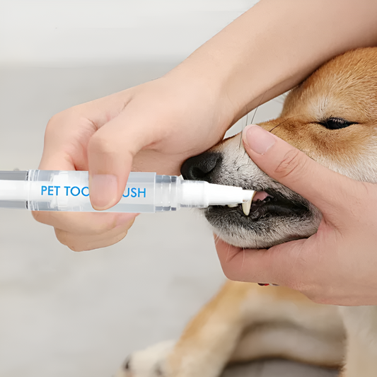 PawBright™ - Tandverzorgingspen voor Honden & Katten [1 + 1 Gratis]