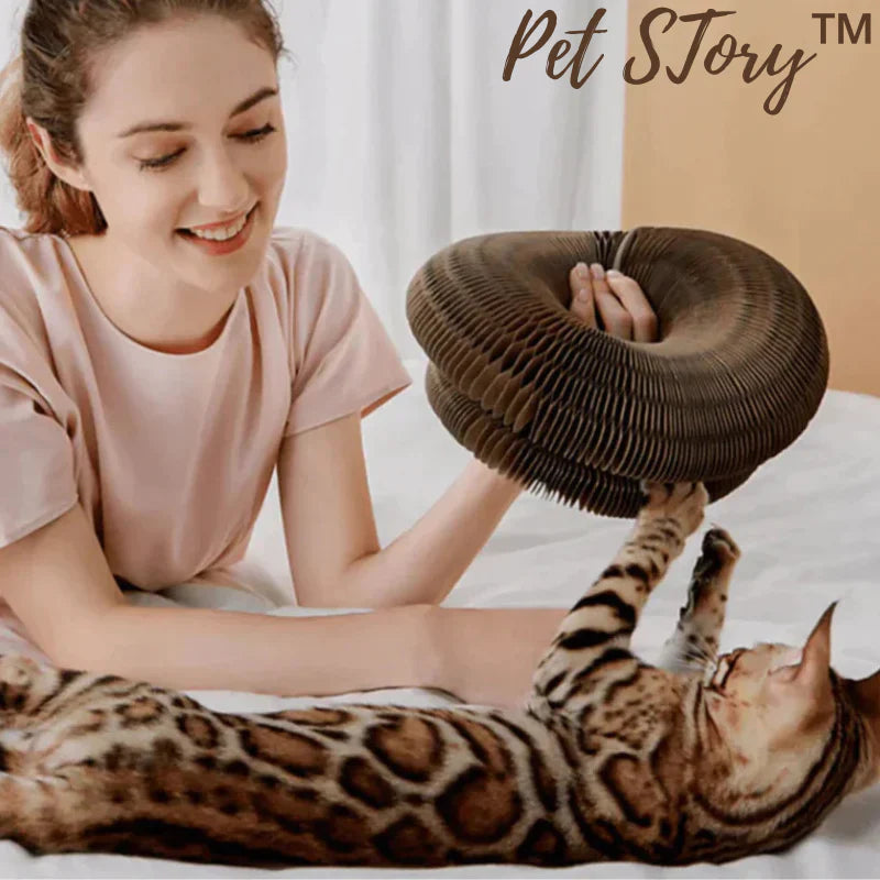 PetStory™ Innofatief Kattenspeeltje | VANDAAG 50% KORTING