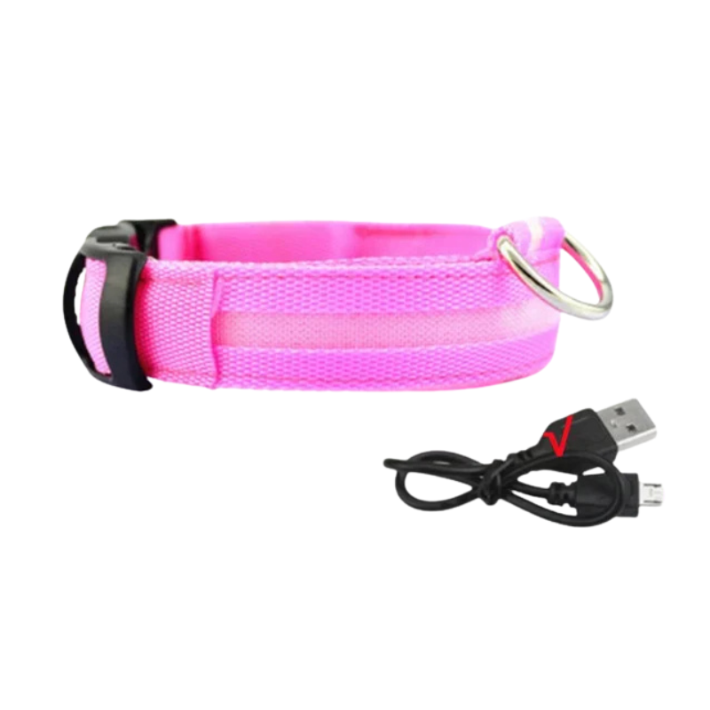 GlowPaw™ – Oplaadbare LED-hondenhalsband voor veilige avondwandelingen