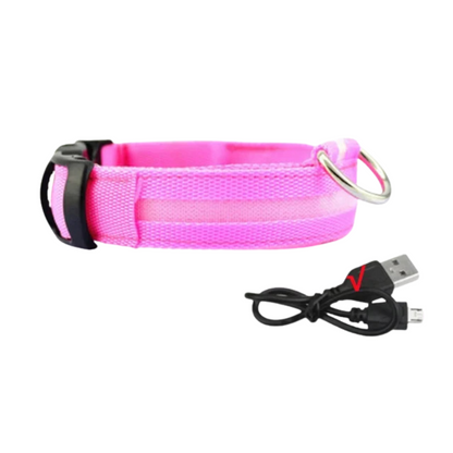 GlowPaw™ – Oplaadbare LED-hondenhalsband voor veilige avondwandelingen