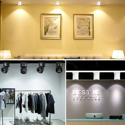 LED plafondspot draaibaar 350° zwenkbaar warmwit aluminium