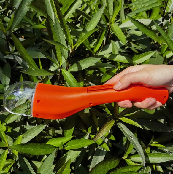 BugWhisper™ – De Zachte Insectenredder voor een Dierenvriendelijk Huis [50% Korting]