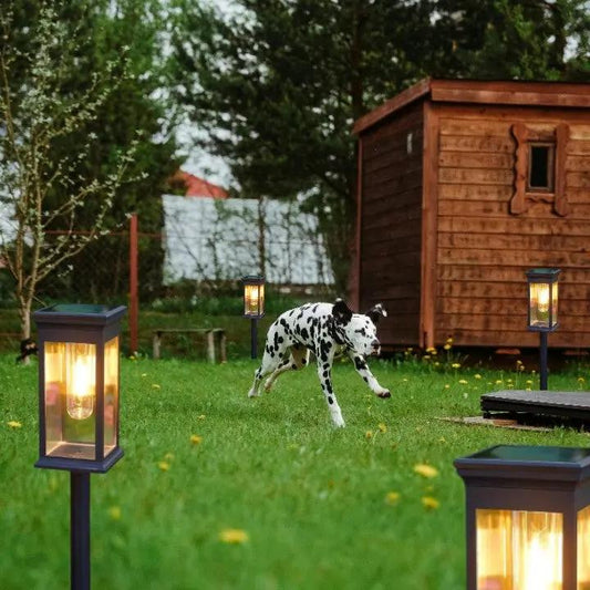 SolarGarden™ – Warm wit licht voor paden, borders & sfeervolle tuinaccenten [1 + 1 Gratis]