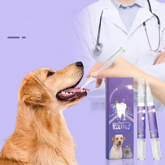 OralGlow™ – De ultieme oplossing voor gezonde tanden & frisse adem van jouw huisdier [1 + 1 Gratis]