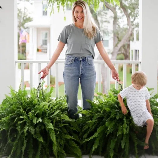 GreenGlow™ – Realistisch kunst Bostonvaren voor decoratieve groene ruimte-inrichting [50% Korting]