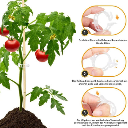 PlantGuard™ Plantensteunen – Zachte Clips voor Gezonde Plantengroei