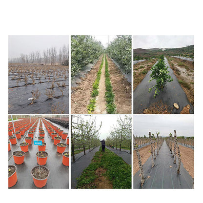 EasyGrow – Onkruidvrije tuin zonder chemicaliën [50% korting]
