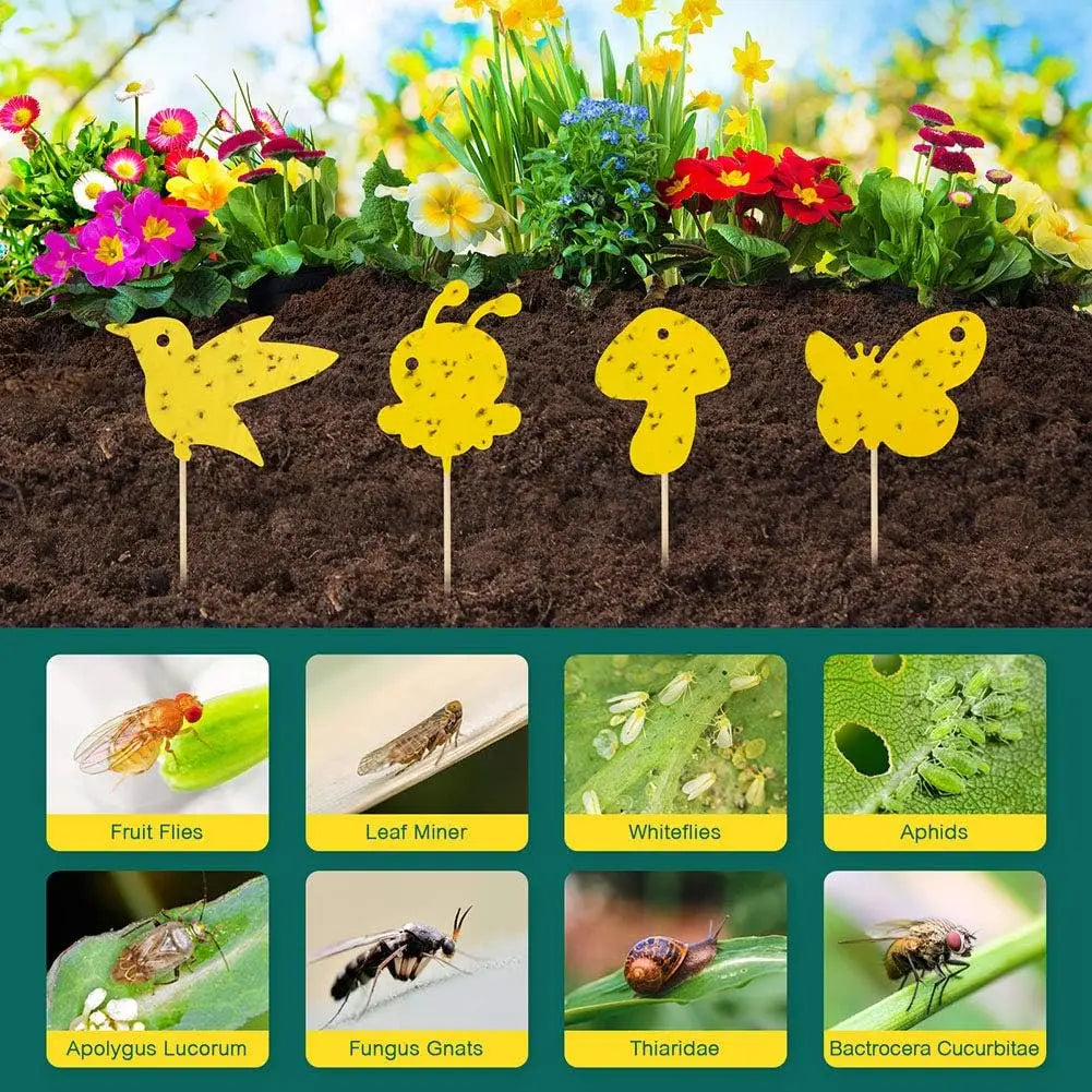 PestiGuard – Chemievrije plantenvalletjes voor gezonde planten [20 + 20 Gratis]