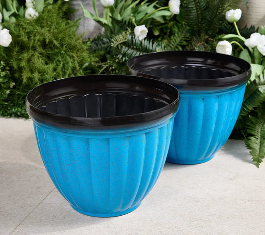 RootGlow™ – Bevorderlijk voor gezonde plantengroei en houdt wortels langer sterk [50% Korting]