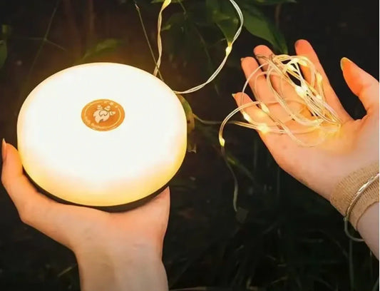 LedWire – Uitschuifbare LED-lichtslinger voor perfecte sfeer overal [50% Korting]