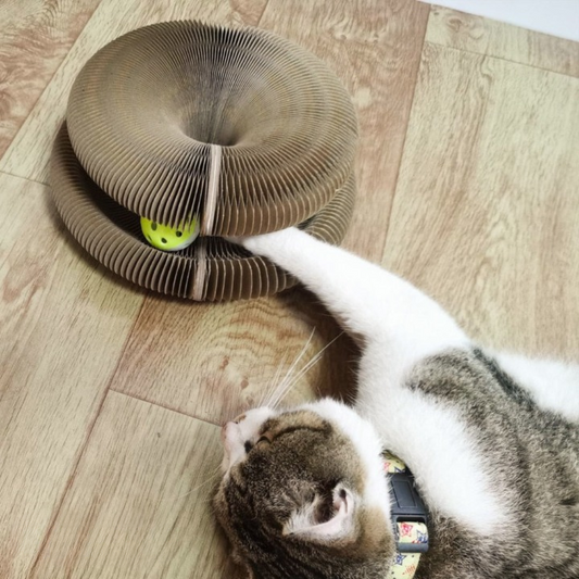Kitty™ – Het schattigste, grappige, interactieve, knuffelige & veilige kattenspeelgoed [50% Korting]
