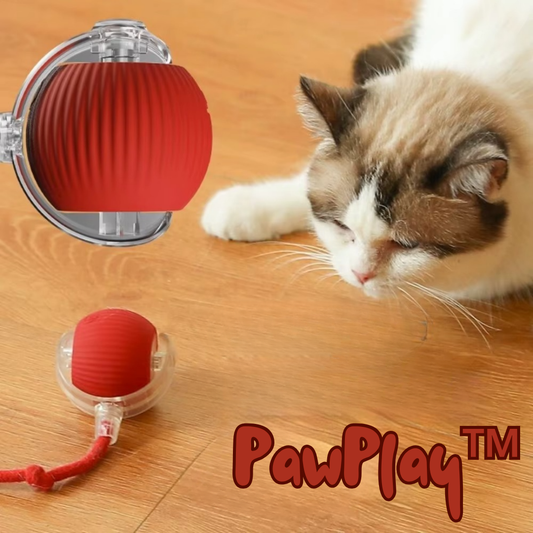 PawPlay™ – Interactieve katten-speelbal voor urenlang speelplezier [50% Korting]
