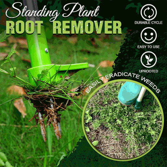 RootVanish™ – Permanente wortelverwijderaar voor ongewenste planten [50% Korting]