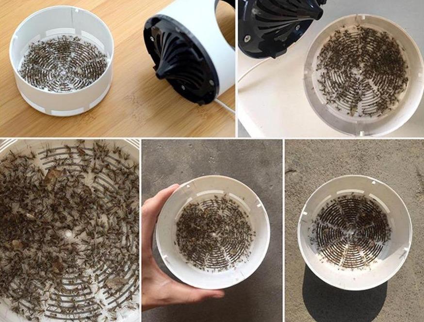 BuzzOff™ - USB insectendoder met nachtlampje [50% Korting]