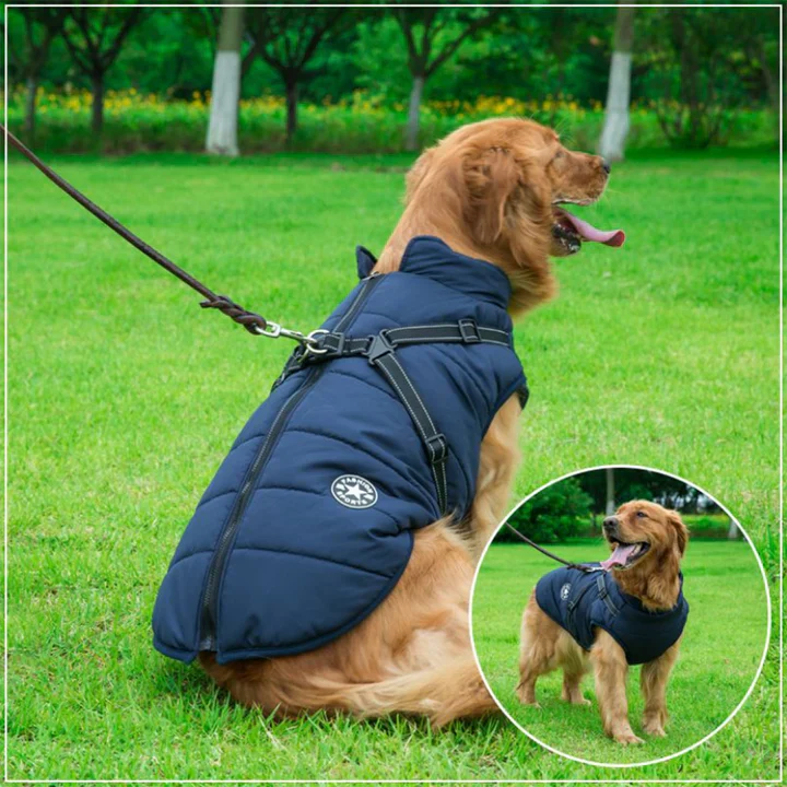 50% Korting | PawJacket™ – Waterdicht winterjack met geïntegreerd harnas [Laatste dag korting]