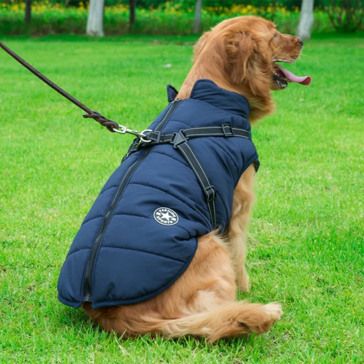 50% Korting | PawJacket™ – Waterdicht winterjack met geïntegreerd harnas [Laatste dag korting]