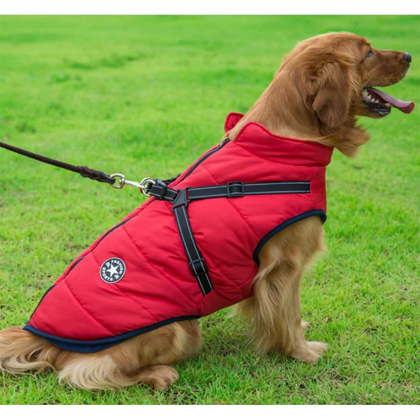 50% Korting | PawJacket™ – Waterdicht winterjack met geïntegreerd harnas [Laatste dag korting]