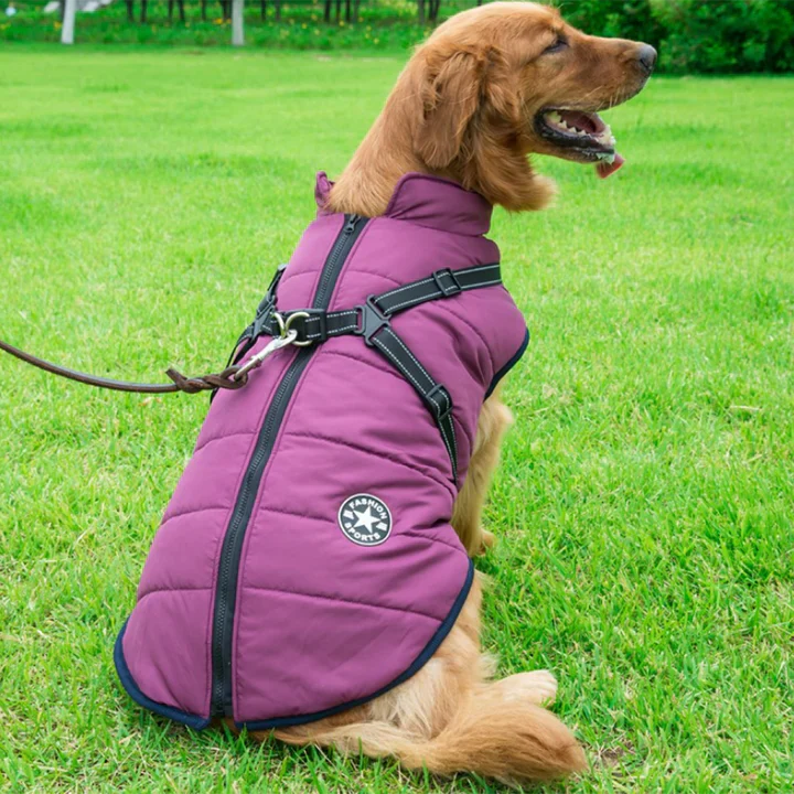 50% Korting | PawJacket™ – Waterdicht winterjack met geïntegreerd harnas [Laatste dag korting]