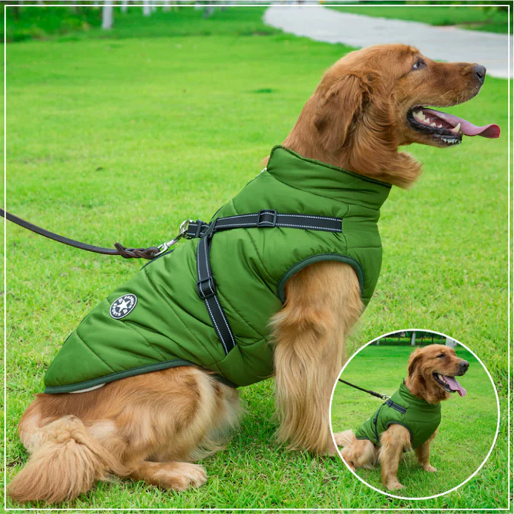 50% Korting | PawJacket™ – Waterdicht winterjack met geïntegreerd harnas [Laatste dag korting]