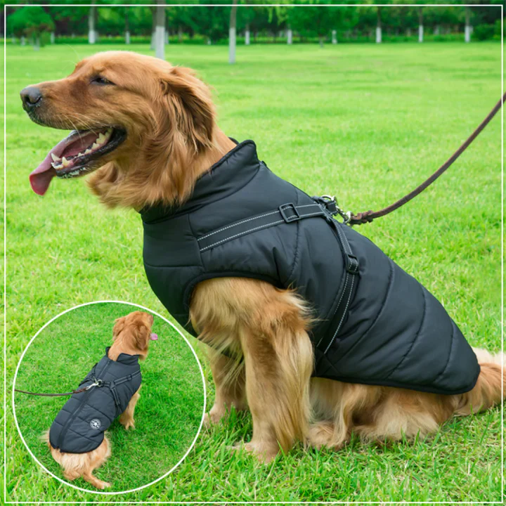 50% Korting | PawJacket™ – Waterdicht winterjack met geïntegreerd harnas [Laatste dag korting]