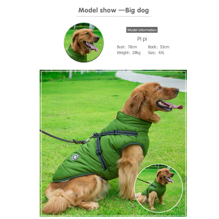 50% Korting | PawJacket™ – Waterdicht winterjack met geïntegreerd harnas [Laatste dag korting]