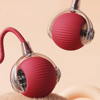 CatBall™ - Interactieve speelbal met staart voor katten [1 + 1 Gratis]