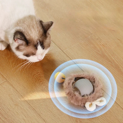 CatBall™ - Interactieve speelbal met staart voor katten [1 + 1 Gratis]