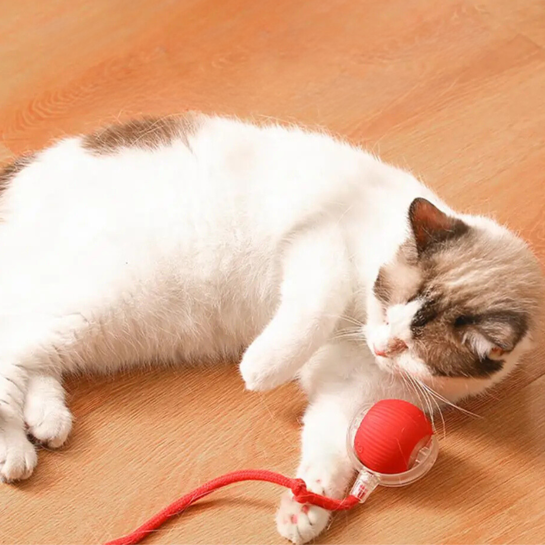 CatBall™ - Interactieve speelbal met staart voor katten [1 + 1 Gratis]