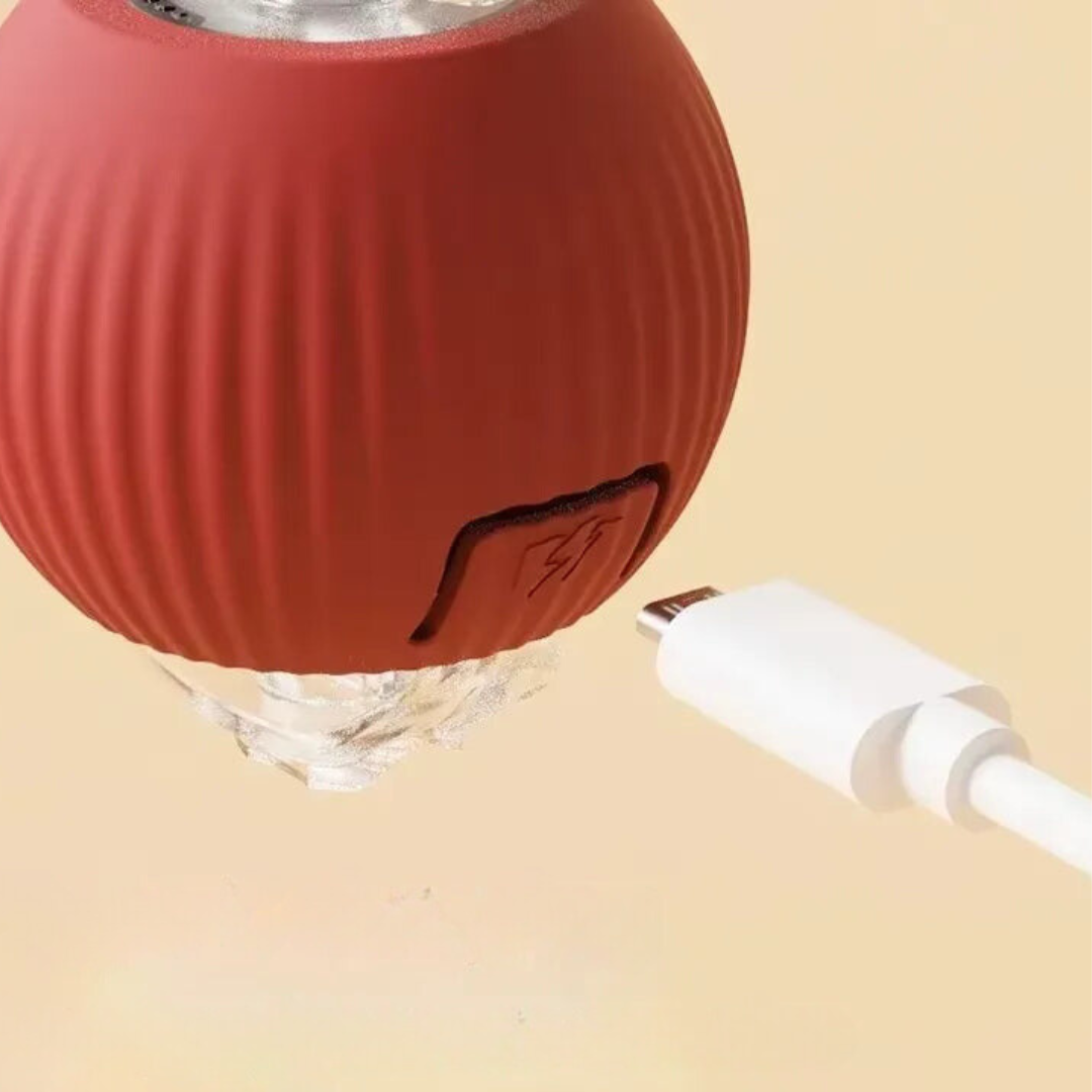 CatBall™ - Interactieve speelbal met staart voor katten [1 + 1 Gratis]