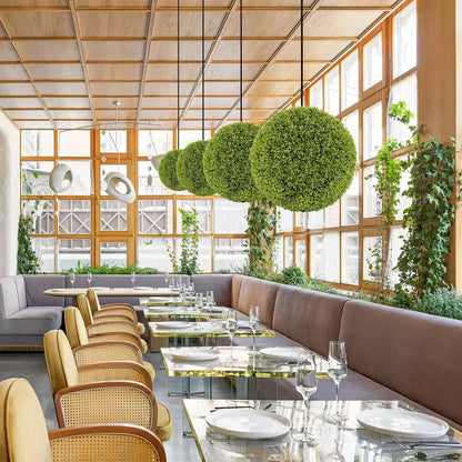 GreenSphere™ – Altijdgroene charme voor huis, tuin en balkon [1 + 1 Gratis]