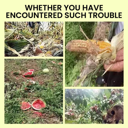 SolarGuard™ - Bescherm uw eigendom op betrouwbare wijze [1 + 1 Gratis]