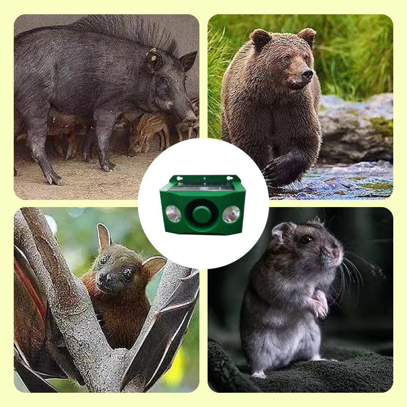 SolarGuard™ - Bescherm uw eigendom op betrouwbare wijze [1 + 1 Gratis]