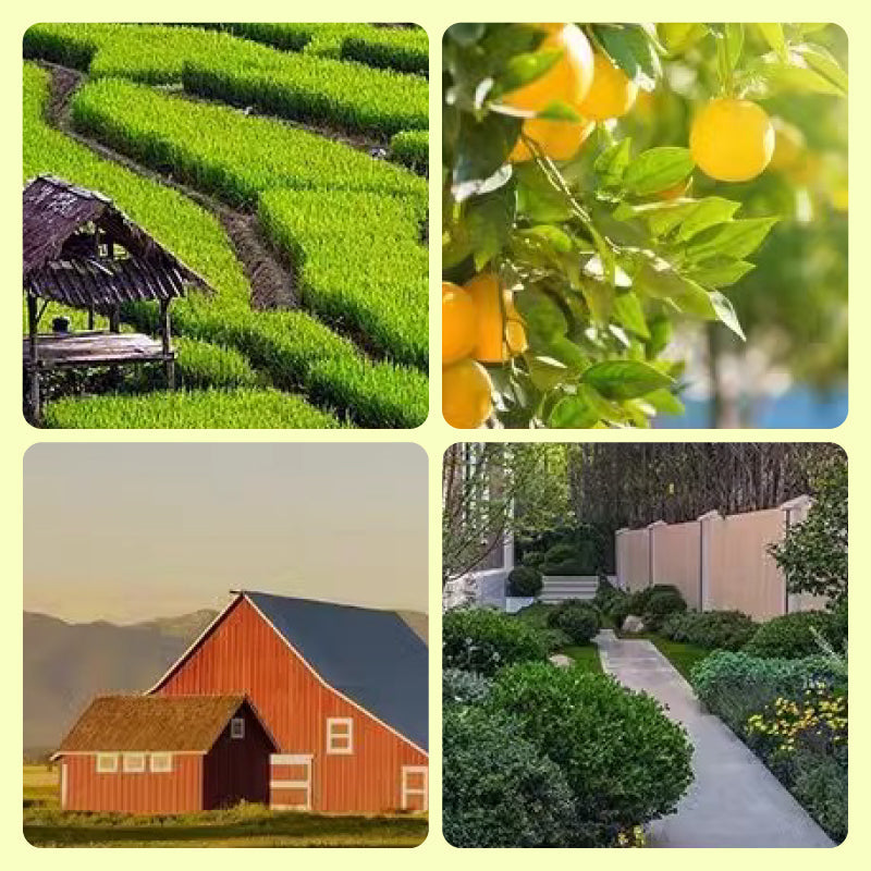 SolarGuard™ - Bescherm uw eigendom op betrouwbare wijze [1 + 1 Gratis]