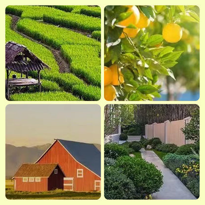 SolarGuard™ - Bescherm uw eigendom op betrouwbare wijze [1 + 1 Gratis]